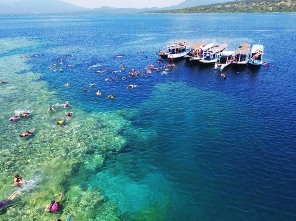 Отель Batu Ampar Menjangan Баньюведанг Экстерьер фото